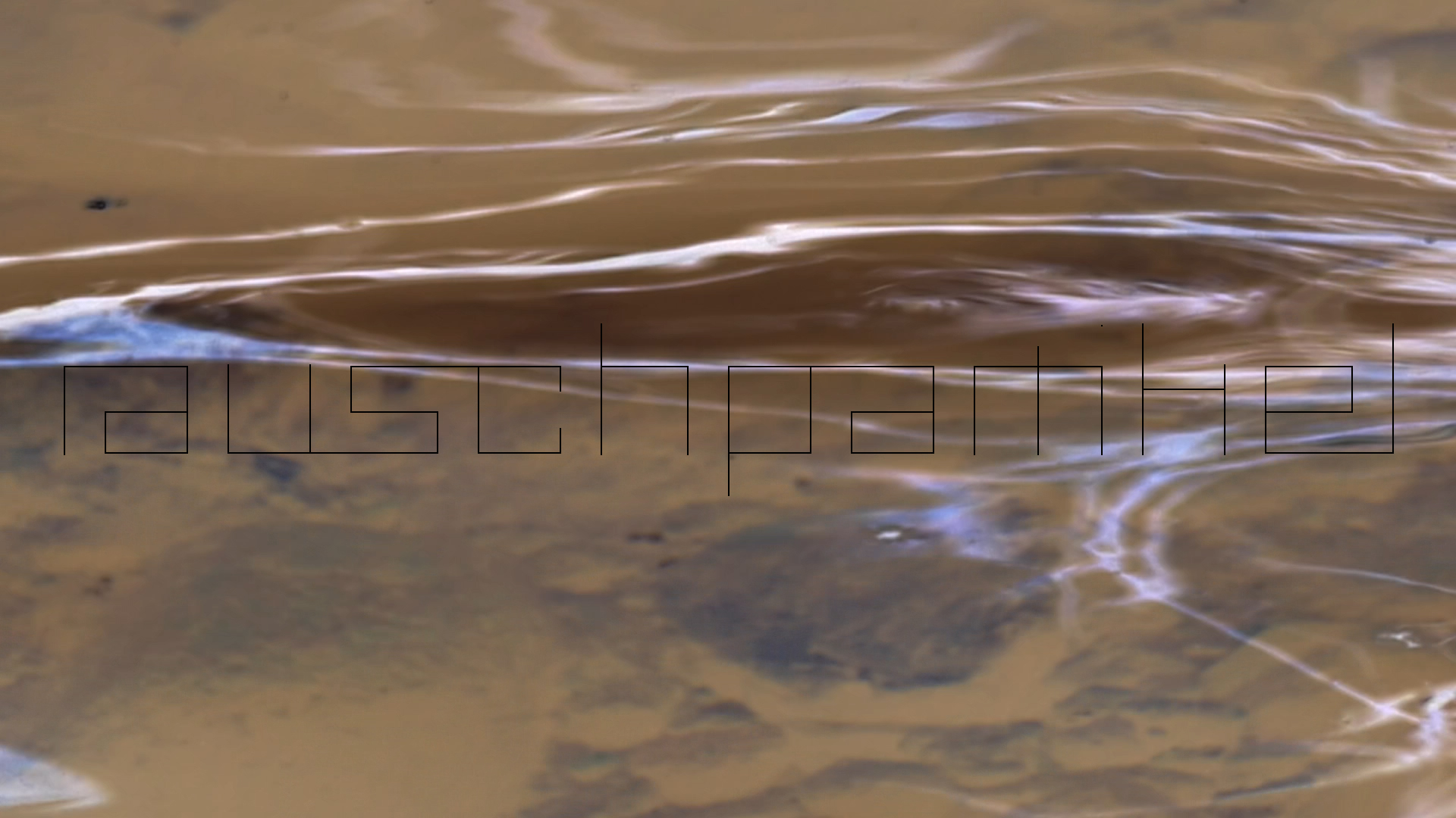 2023-08-19 und -20 Licht und Wasser am Stechlin (Fieldrecording Video)