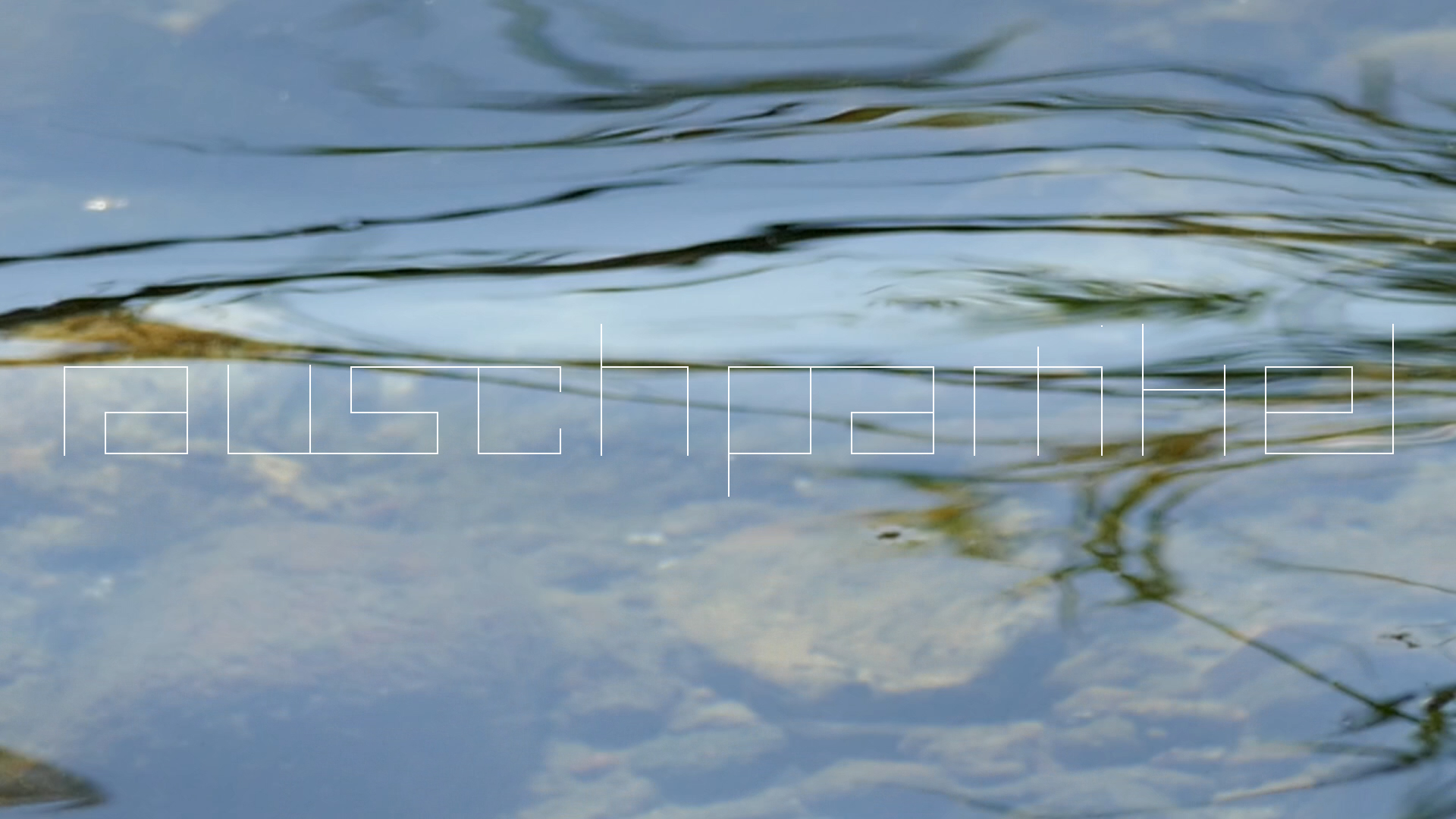 2023-08-19 und -20 Licht und Wasser am Stechlin (Fieldrecording Video)