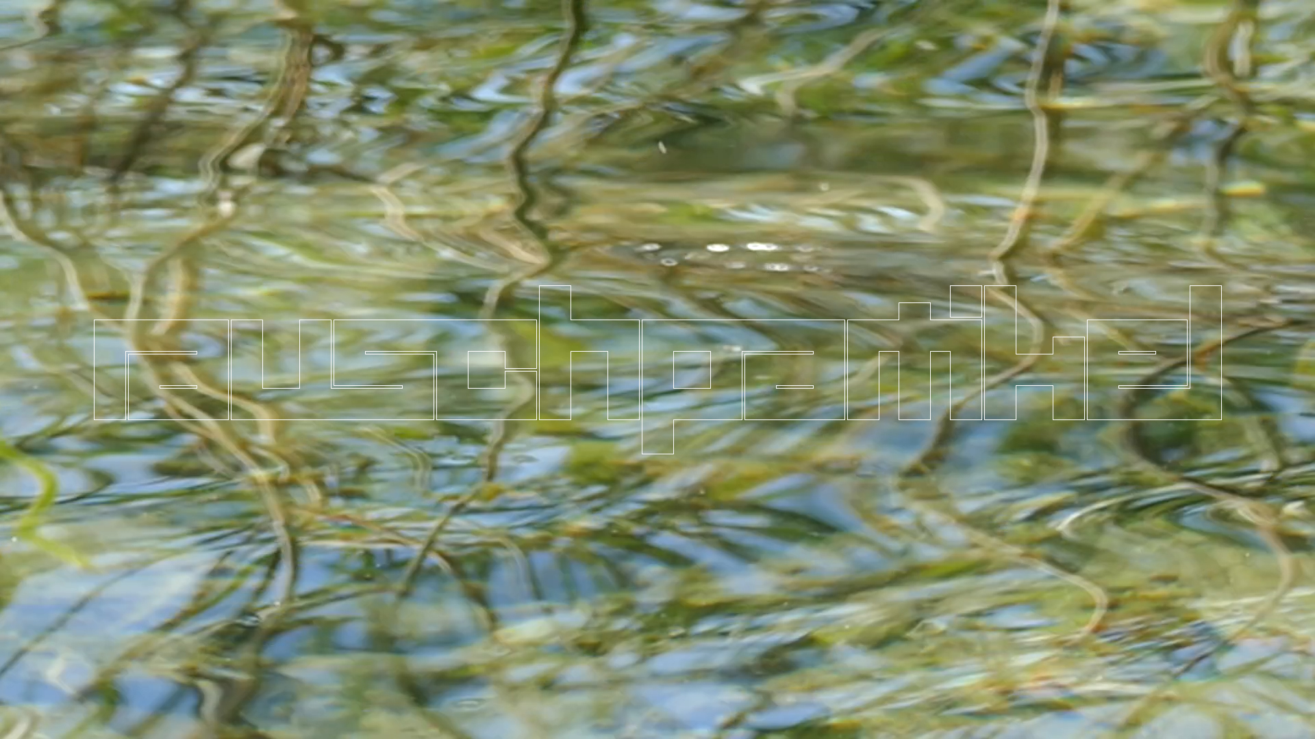 2023-08-19 und -20 Licht und Wasser am Stechlin (Fieldrecording Video)