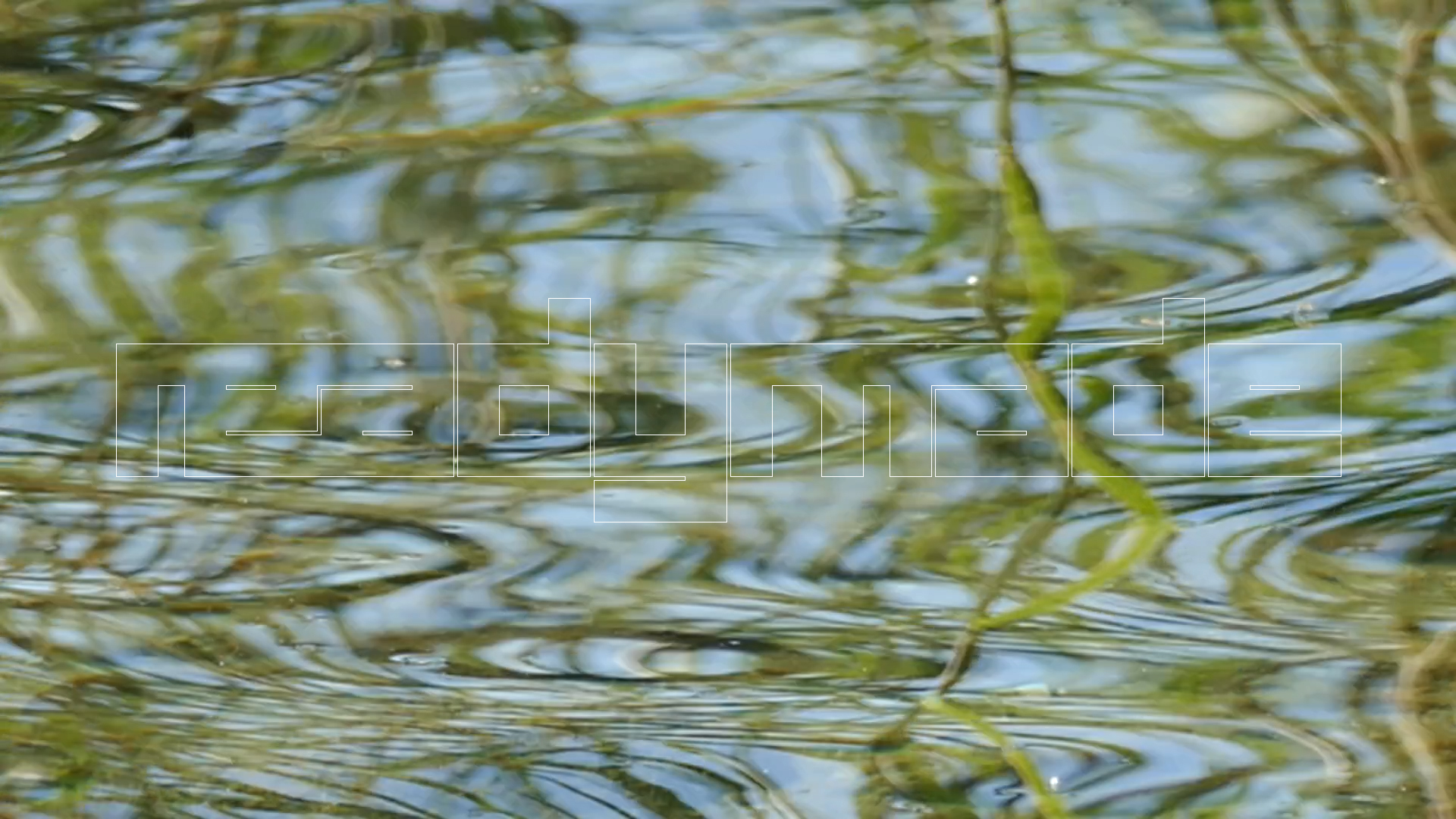 2023-08-19 und -20 Licht und Wasser am Stechlin (Fieldrecording Video)