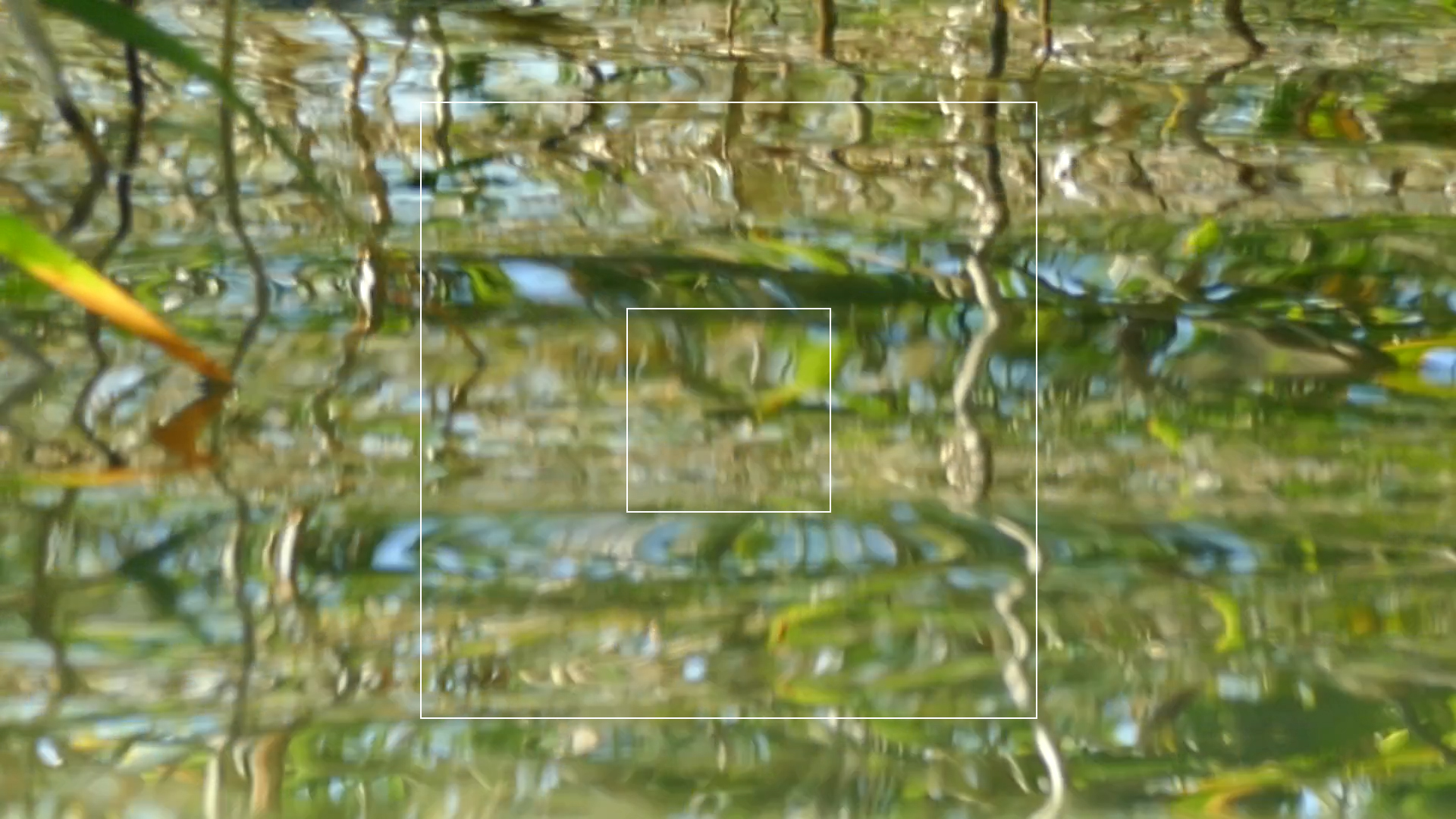 2023-08-19 und -20 Licht und Wasser am Stechlin (Fieldrecording Video)