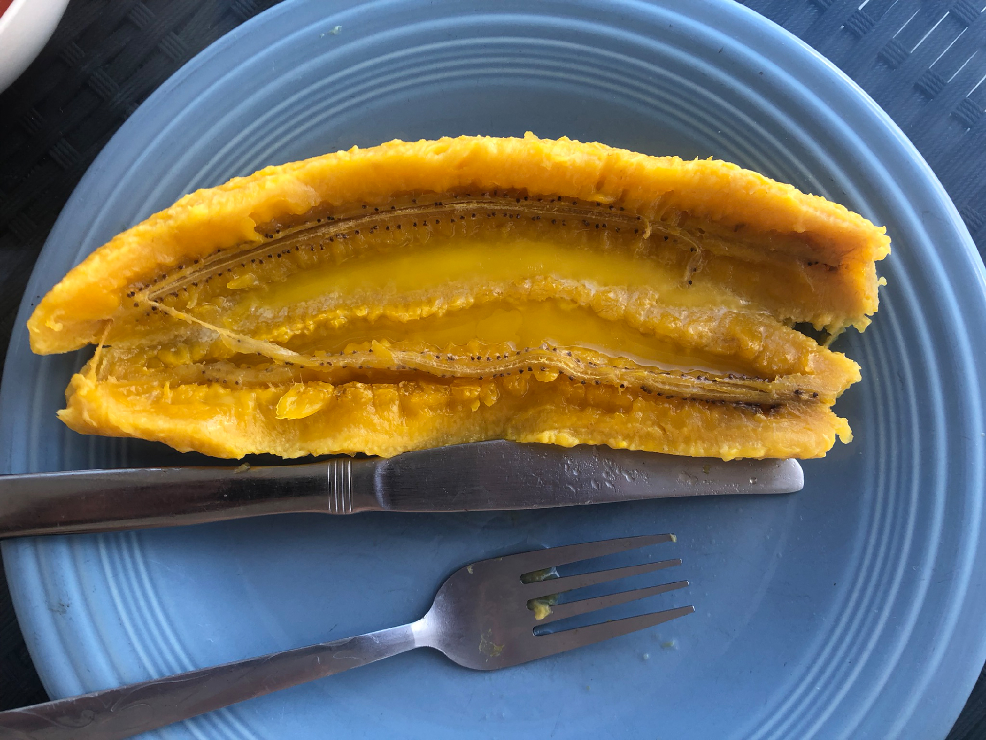 2025-11 Marazul Dive Reseort (Foto, Video)'