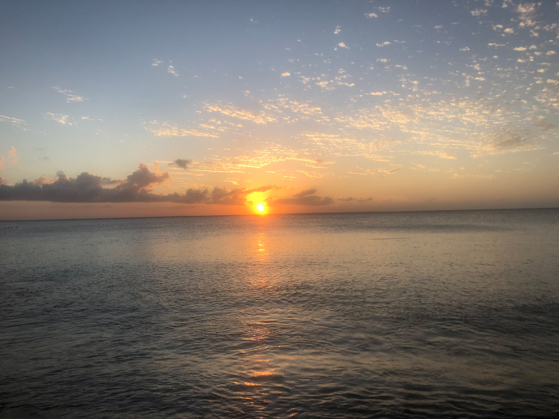 2025-11 Marazul Dive Reseort (Foto, Video)