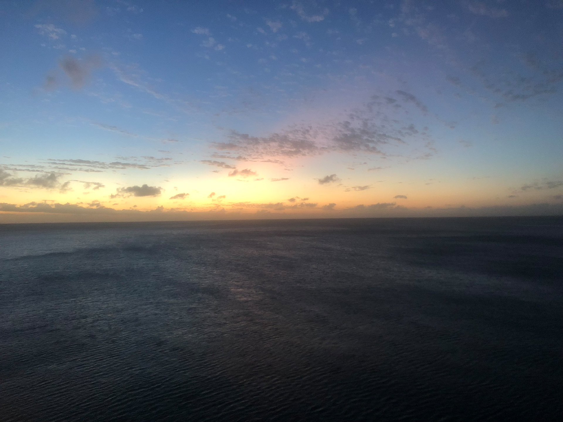 2025-11 Marazul Dive Reseort (Foto, Video)