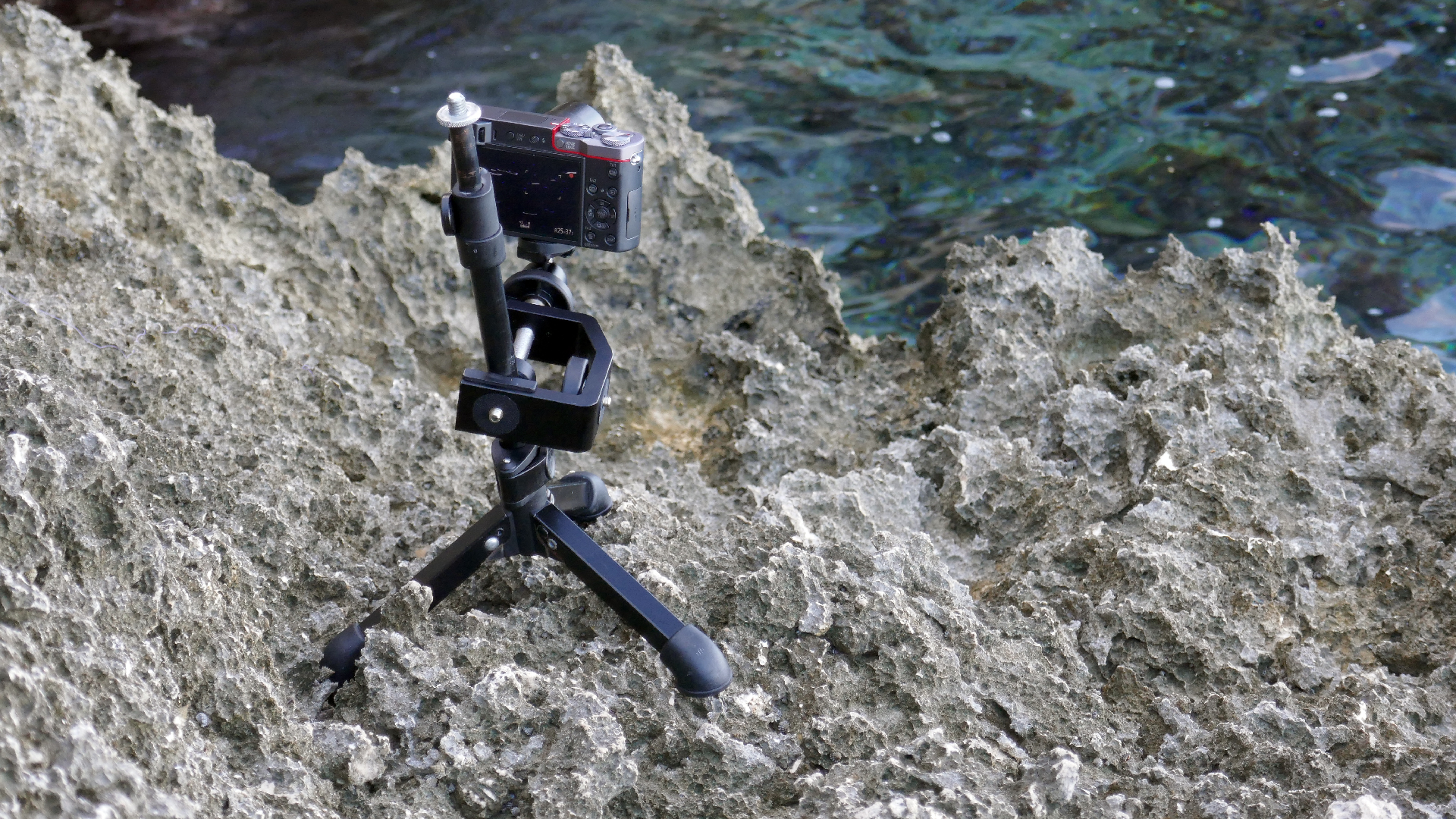 2025-11 Marazul Dive Reseort (Foto, Video)