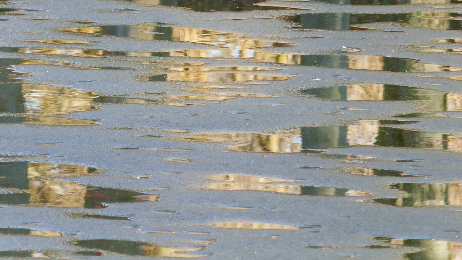 2026-03-04 Eisschmelze 3 (Fieldrecording Video)