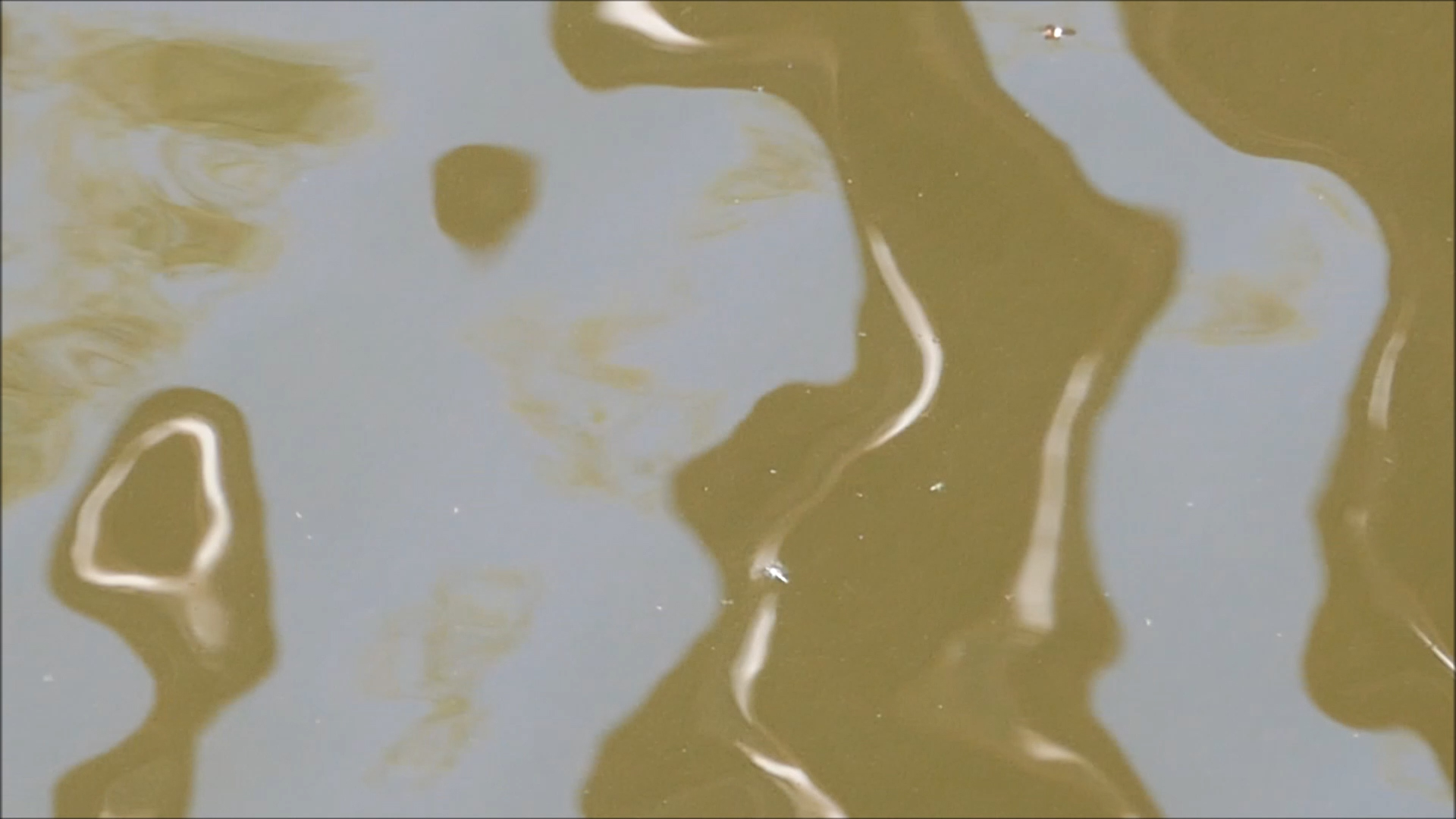 2026-04-21 16 Uhr 19 Kaleidoskop (Fieldrecording Video) (Kamera 2)