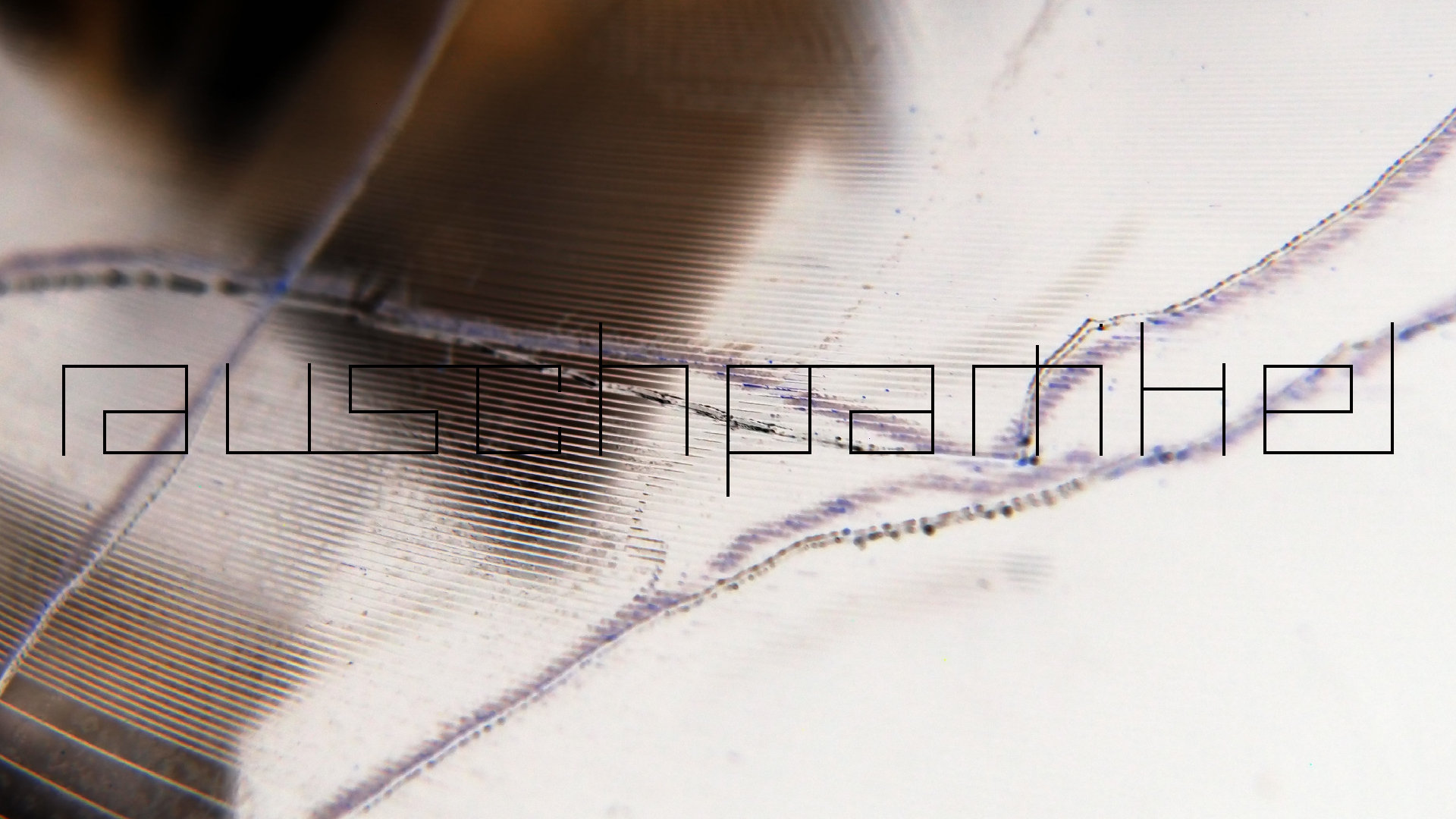 2023-02-05 wendelrekords III Pure Vinyl, geritzt (Audio, Foto, Video)